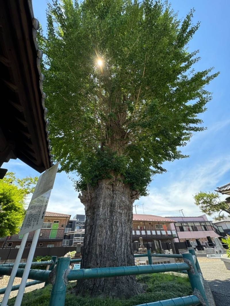 稱覚寺,宮城県仙台市青葉区柏木3丁目7-3