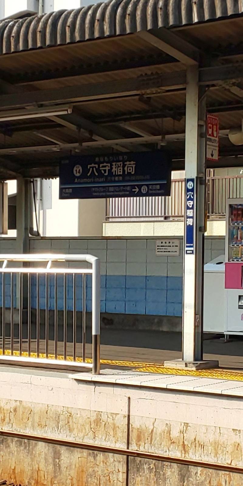 龍王院 見どころ 大田区 東京都 Omairi おまいり 龍王院 見どころ 大田区 東京都 Omairi おまいり