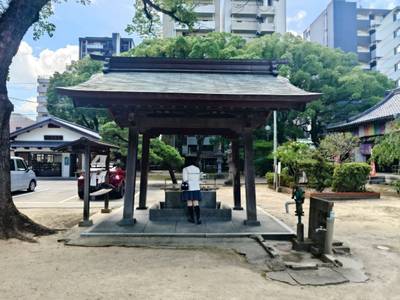崇福寺,見どころ,平沢凛