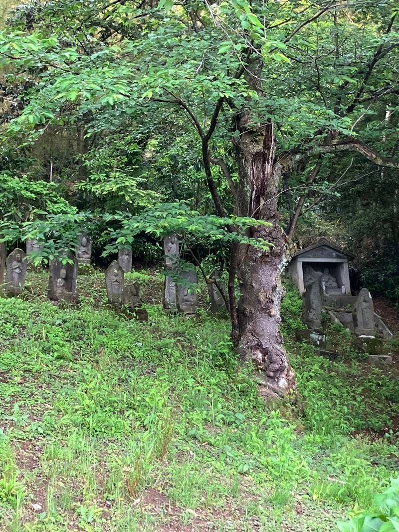 長慶寺,富山県富山市五艘1882