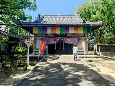 崇福寺,見どころ,平沢凛