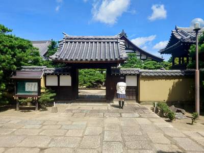 崇福寺,見どころ,平沢凛