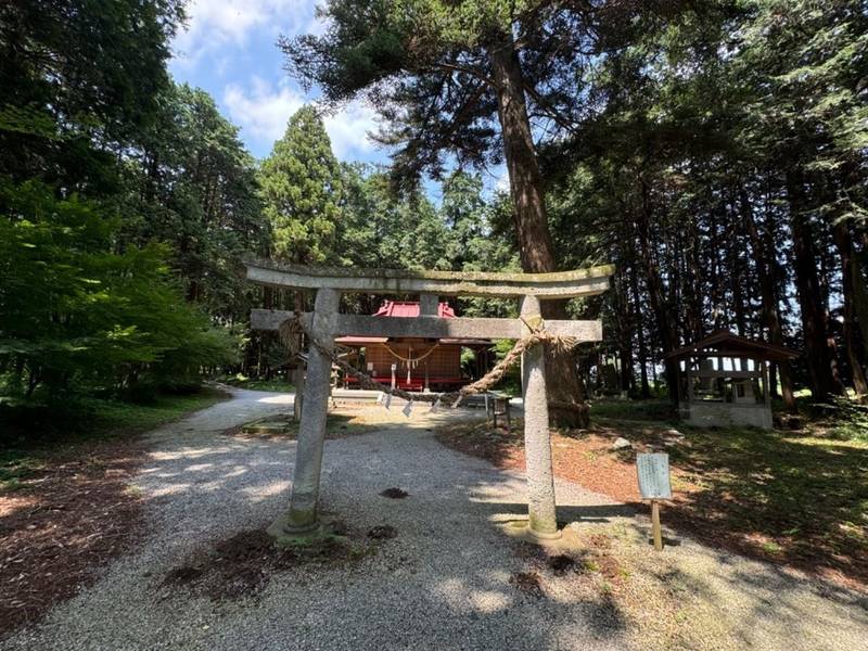 鷲宮神社,栃木県下野市橋本630-6