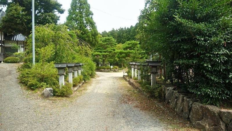 神杉伊豆牟比咩神社,石川県鳳珠郡穴水町中居ワ153