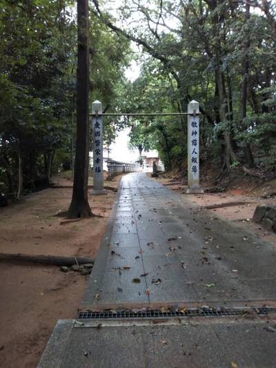 今宮神社,見どころ,まちゃき