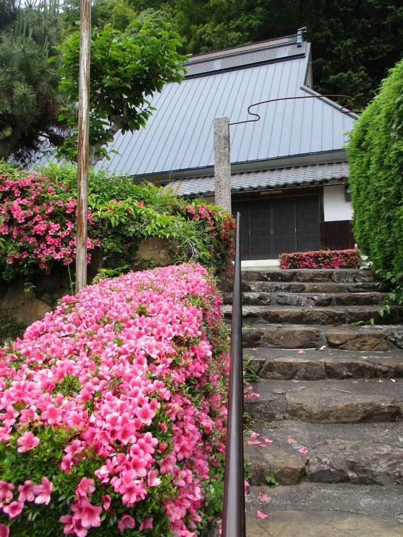 向陽寺,福井県大飯郡おおい町小堀５－１６