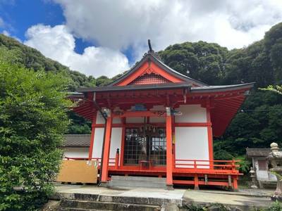 箱崎八幡神社,見どころ,小龍