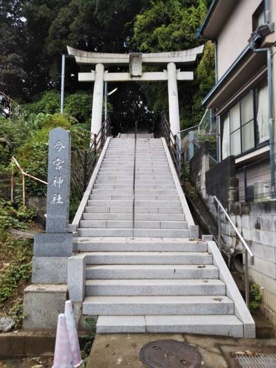 今宮神社,見どころ,まちゃき