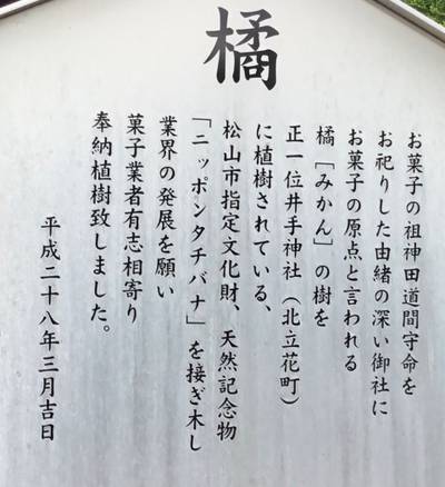 中島神社,見どころ,rinrin