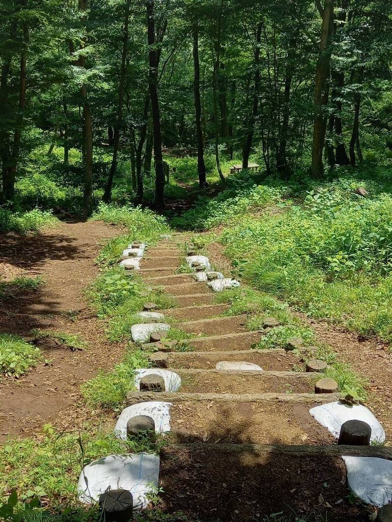 秦野福寿弁財天,神奈川県秦野市今泉