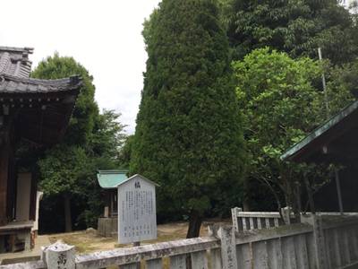 中島神社,見どころ,rinrin