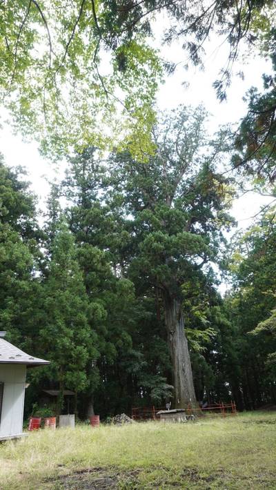 鷲倉神社,見どころ,出羽散々な日々