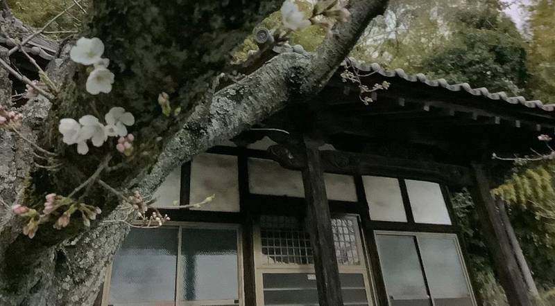 寿量寺,広島県福山市熊野町甲1186-2