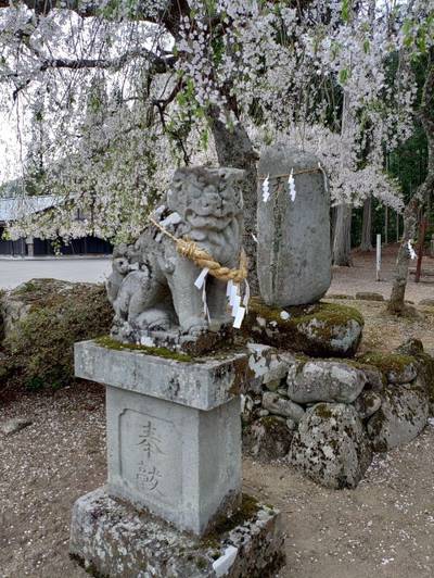 神明神社  (朝日町青屋),見どころ,ちゅら君
