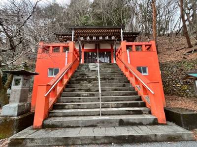 温泉神社,見どころ,ちかぷー
