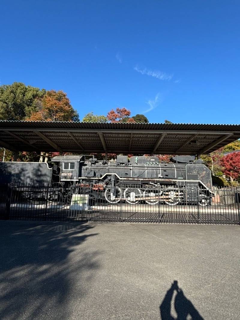 真龍寺,大阪府茨木市東福井2丁目24-11