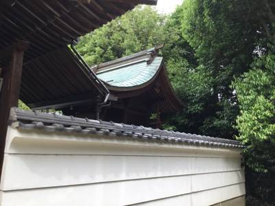 中島神社,見どころ,rinrin