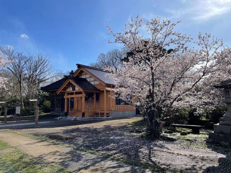 白山神社 (国府),新潟県上越市国府1丁目15番9号