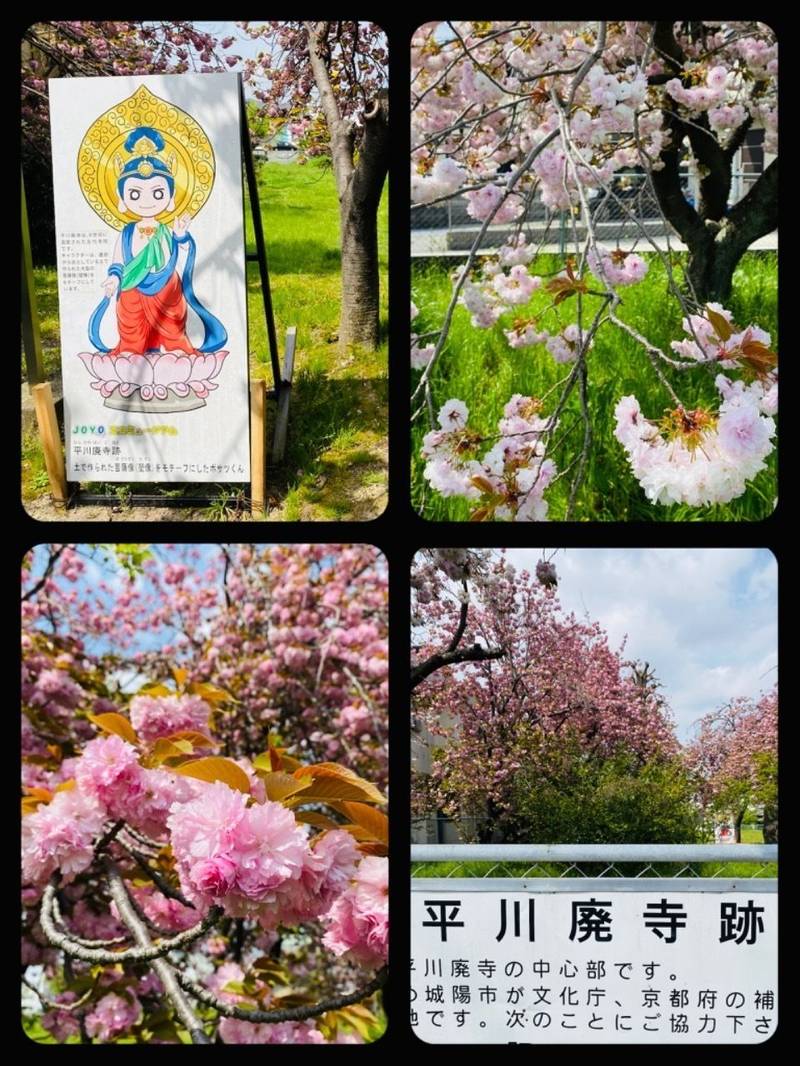 平川廃寺跡,京都府城陽市平川古宮