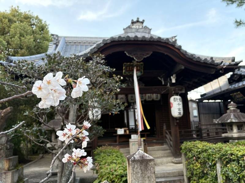 本法寺,京都府京都市上京区本法寺前町617
