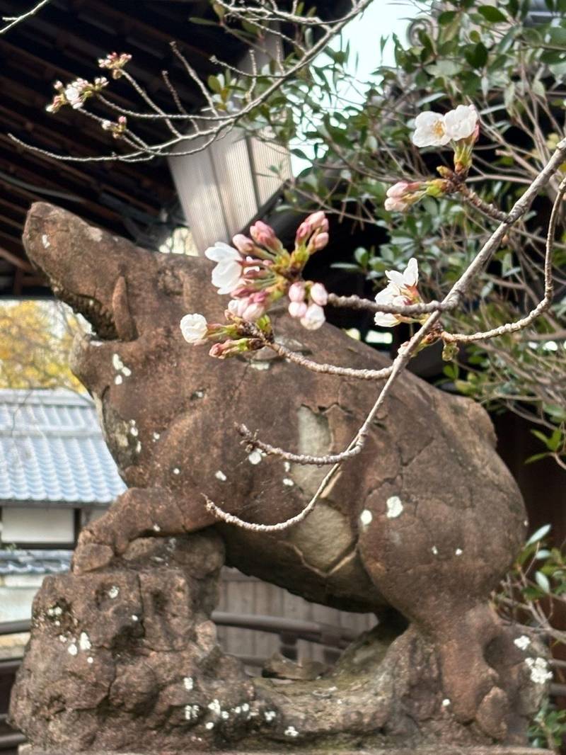 本法寺,京都府京都市上京区本法寺前町617