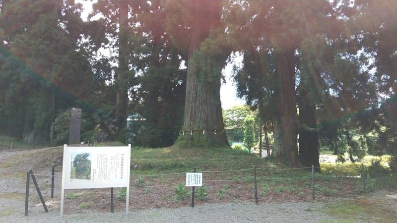 村山浅間神社,静岡県富士宮市村山字水神1151