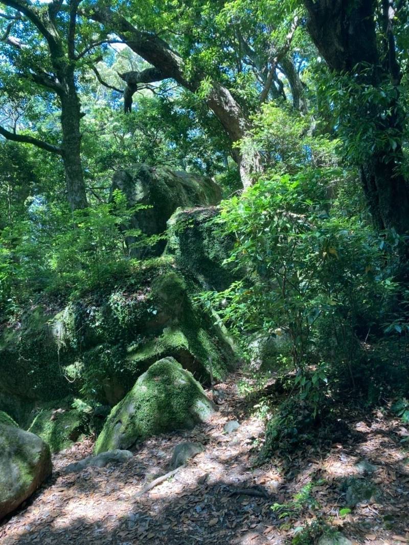 阿波々神社の見どころ