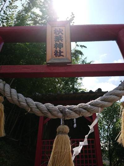 秋葉神社,見どころ,ヒイ
