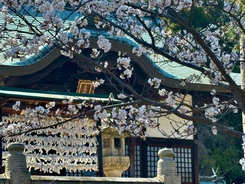 玉比咩神社,岡山県玉野市玉5-1-17