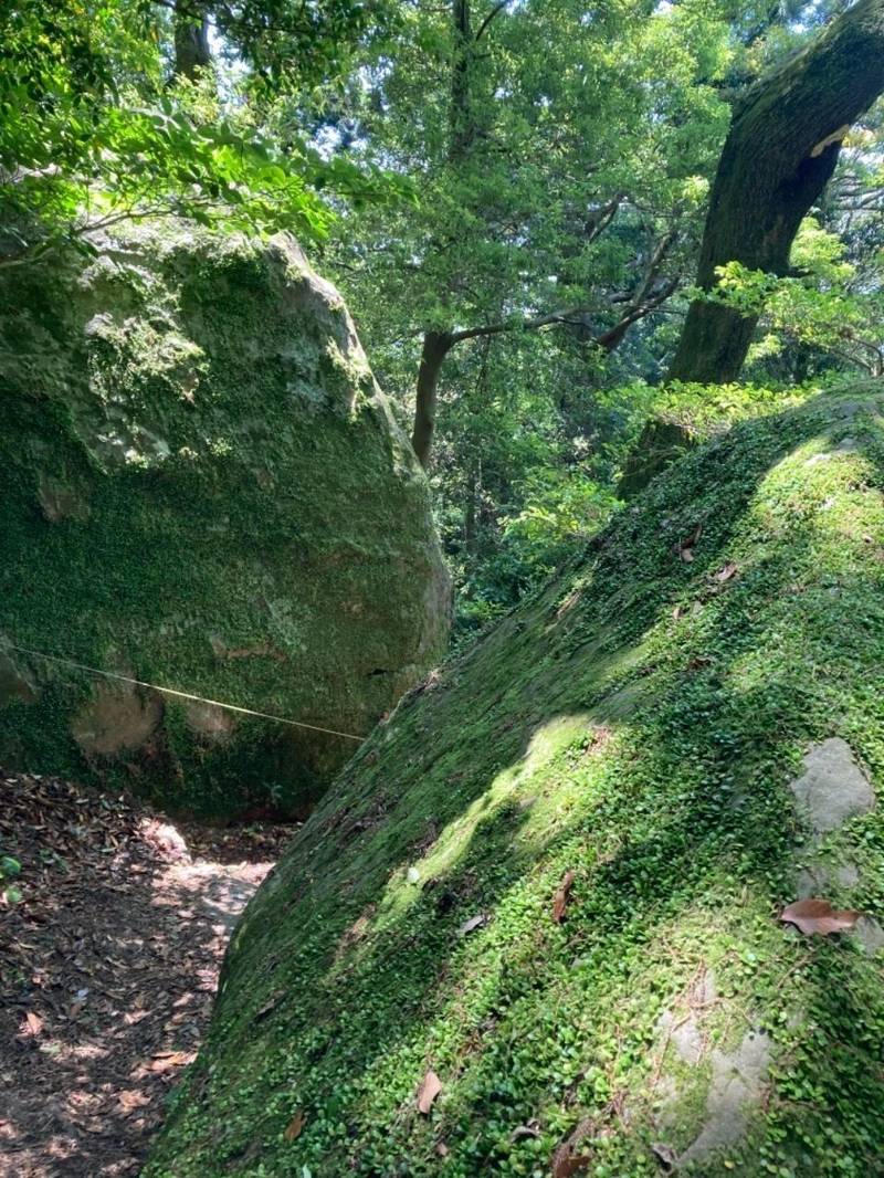 阿波々神社の見どころ