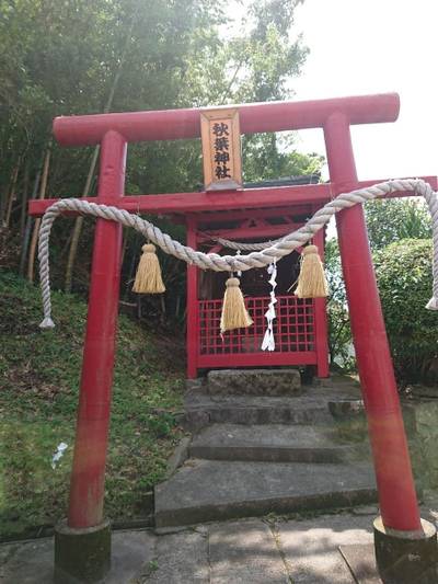 秋葉神社,見どころ,ヒイ
