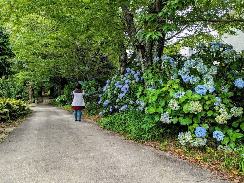 守綱寺,愛知県豊田市寺部町2-27