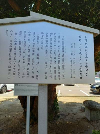 薬師寺,見どころ,やくら姫