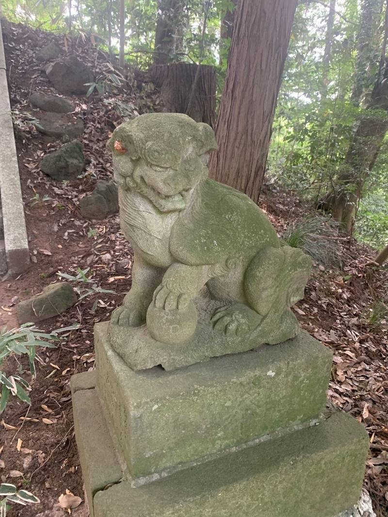 阿夫利神社,千葉県印西市高西新田石尊227