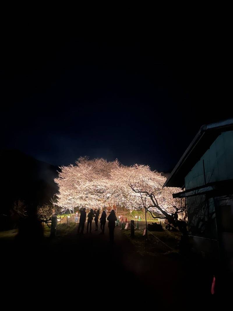 夕月神社,福岡県朝倉市杷木古賀1402