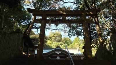 諏訪神社  (阿南市津乃峰町),見どころ,たあ坊