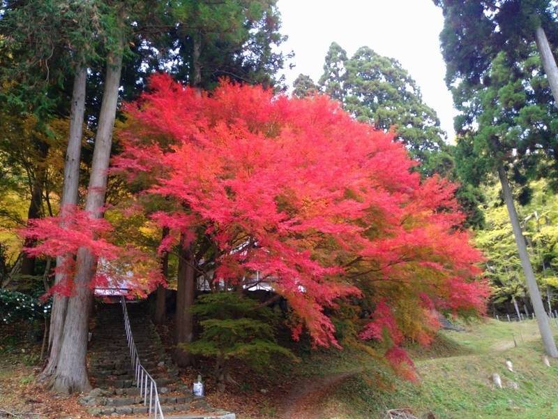 菩提寺,岡山県勝田郡奈義町高円1528