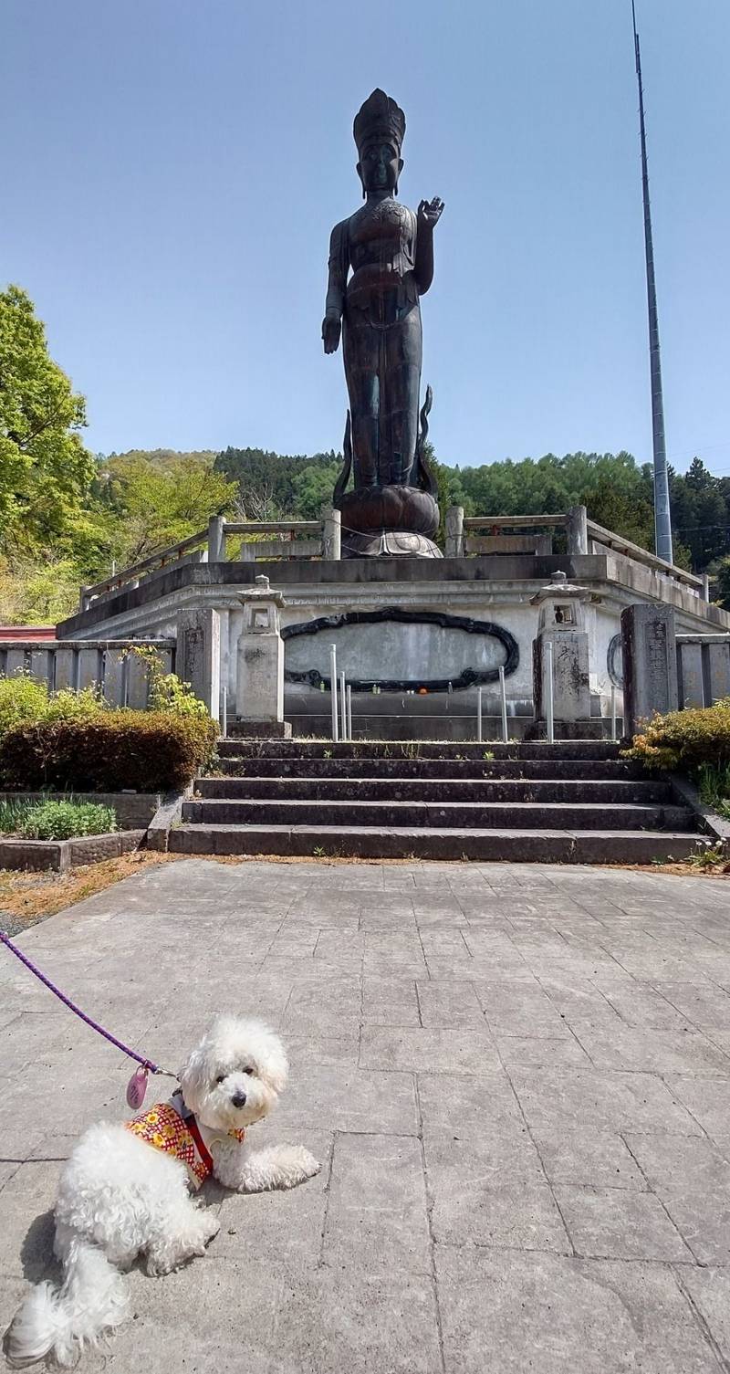 世界平和大観音 見どころ 下高井郡山ノ内町 長野県 Omairi おまいり 世界平和大観音 見どころ 下高井郡山ノ内町 長野県 Omairi おまいり