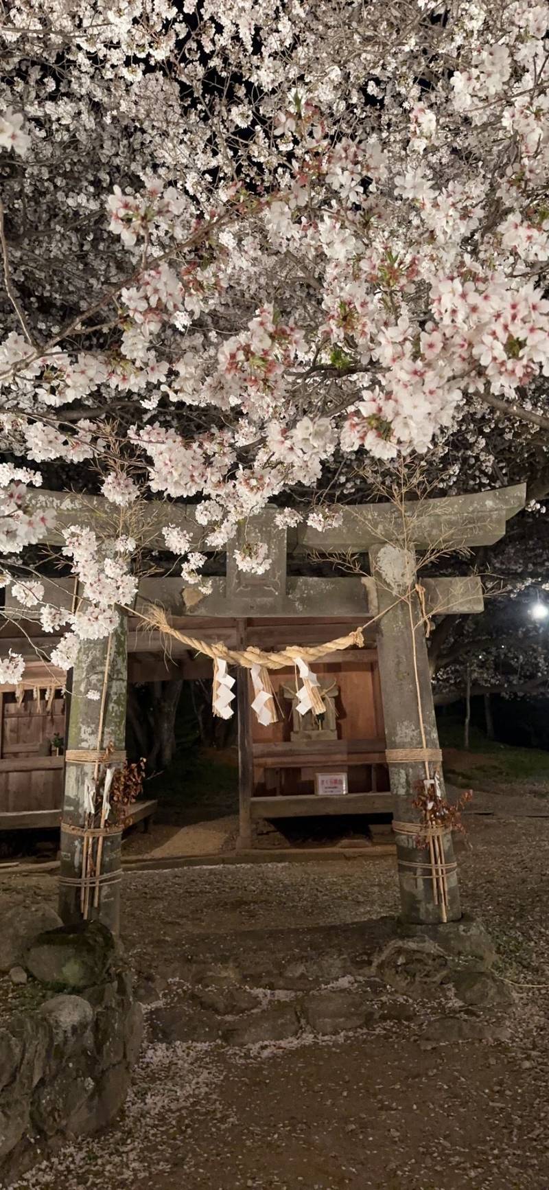 夕月神社,福岡県朝倉市杷木古賀1402