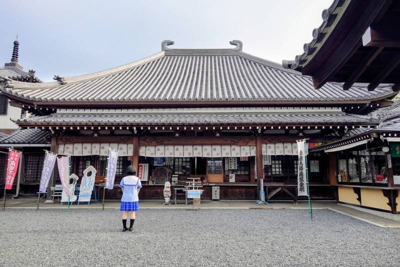 大智院  (めがね弘法),愛知県知多市南粕谷本町1-196