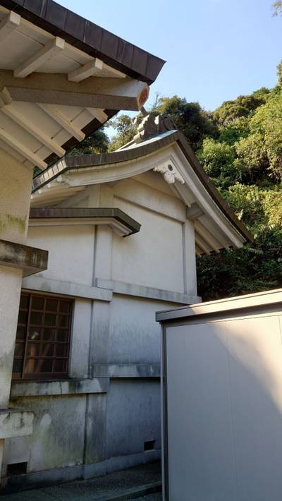 諏訪神社  (阿南市津乃峰町),見どころ,たあ坊