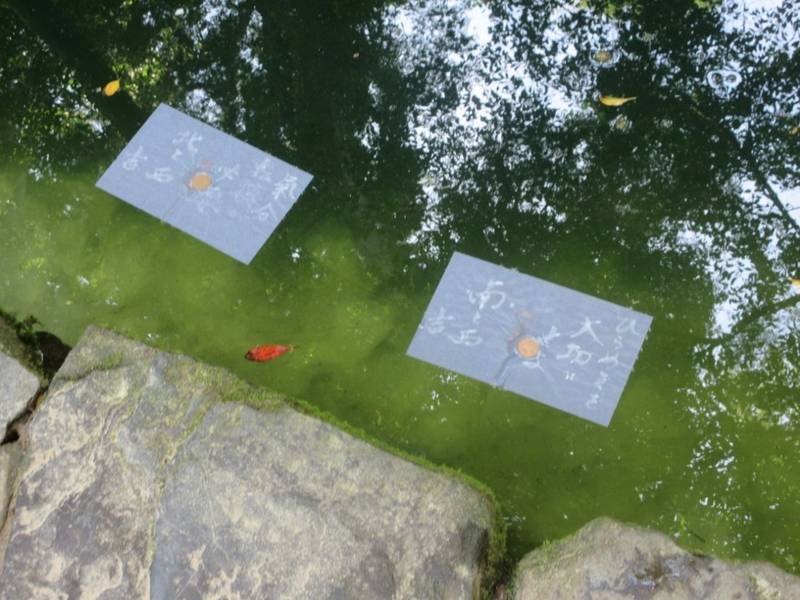 八重垣神社 松江市 島根県 の見どころ 鏡池の紙占 By ねこむすめ୨୧ Omairi おまいり