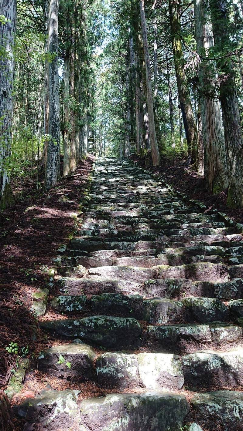 氷室神社,見どころ,ながまつ・西源寺Jr.