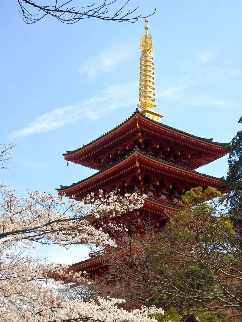 金剛寺       (高幡不動尊),東京都日野市高幡733