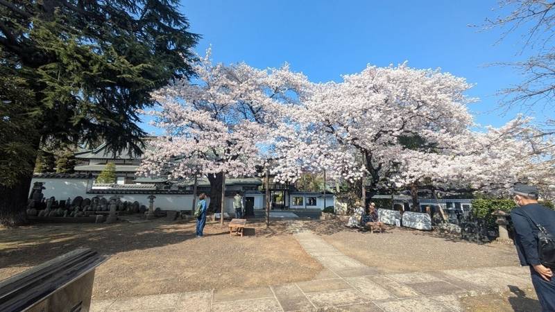 連坊須賀神社,宮城県仙台市若林区連坊2丁目4