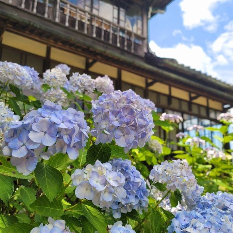 山神社  (小牛田山神社),宮城県遠田郡美里町牛飼斉ノ台３７