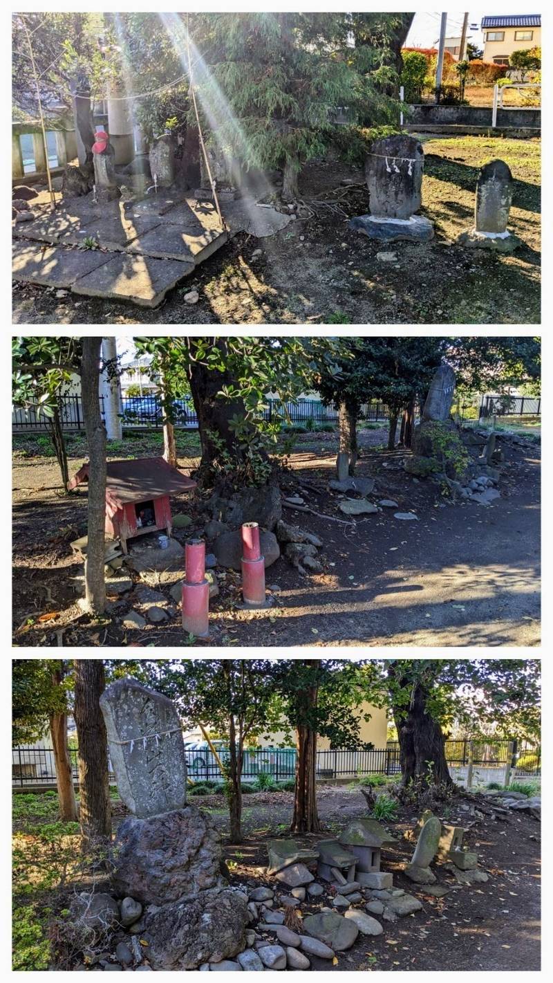 飯玉神社   (上大類町),群馬県高崎市上大類町1239