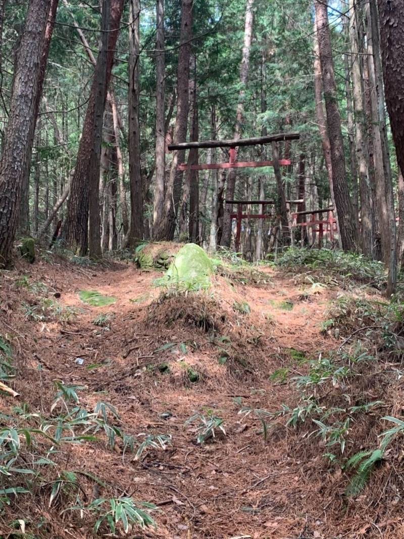 太田稲荷神社,長野県下伊那郡売木村南部第二