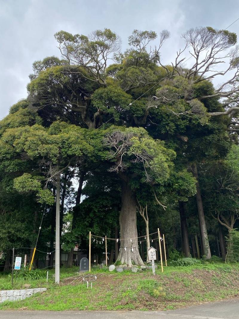 宇都母知神社,神奈川県藤沢市打戻2662