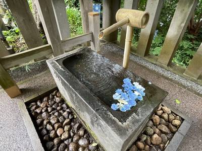 笠間青木神社,見どころ,ほし
